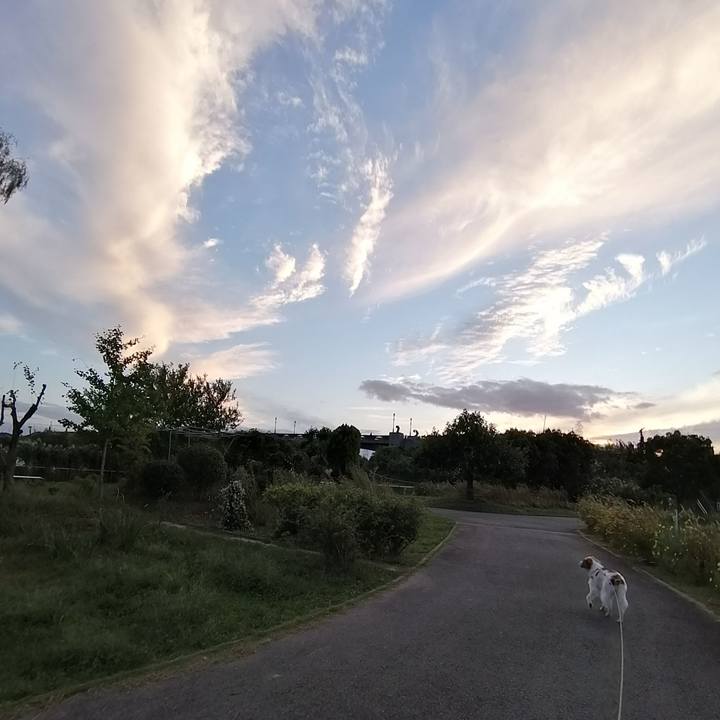 Dfecdab3 db5f 4887 aff7 34c167cf9fbd 1571139058824