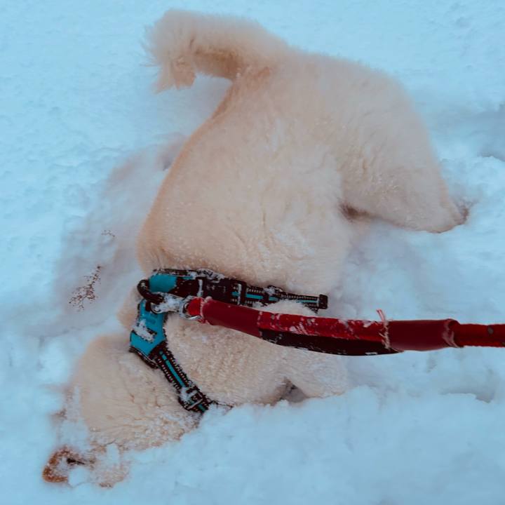 Dfece0c1 1ad2 4c6d 8034 240455b56e0b 1733611045969