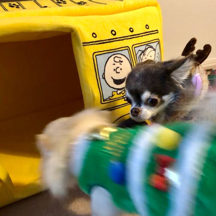 Dfecf82c f06e 4237 b421 bd1c10ffeed1 1608773760799