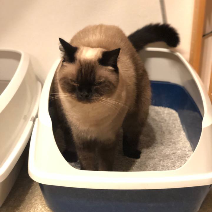 Dfed2684 ba64 4f03 b6b6 fa06476ef3ee 1630634946453