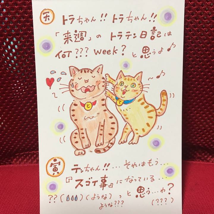 Dfed6b1c 4cbf 4e7c 9a69 71cf05979c8a 1559485365670