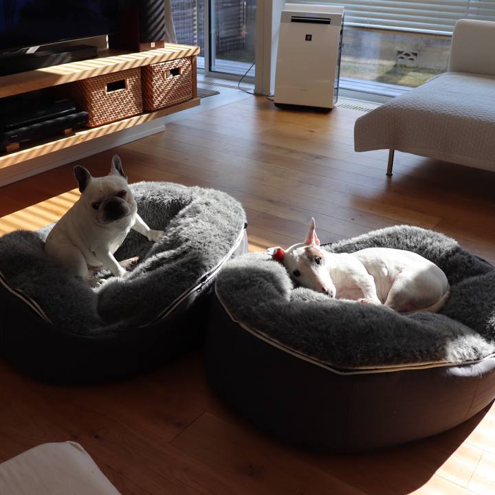 Dfed71bd 5774 4706 91a9 7fc9e6617344 1609383305854