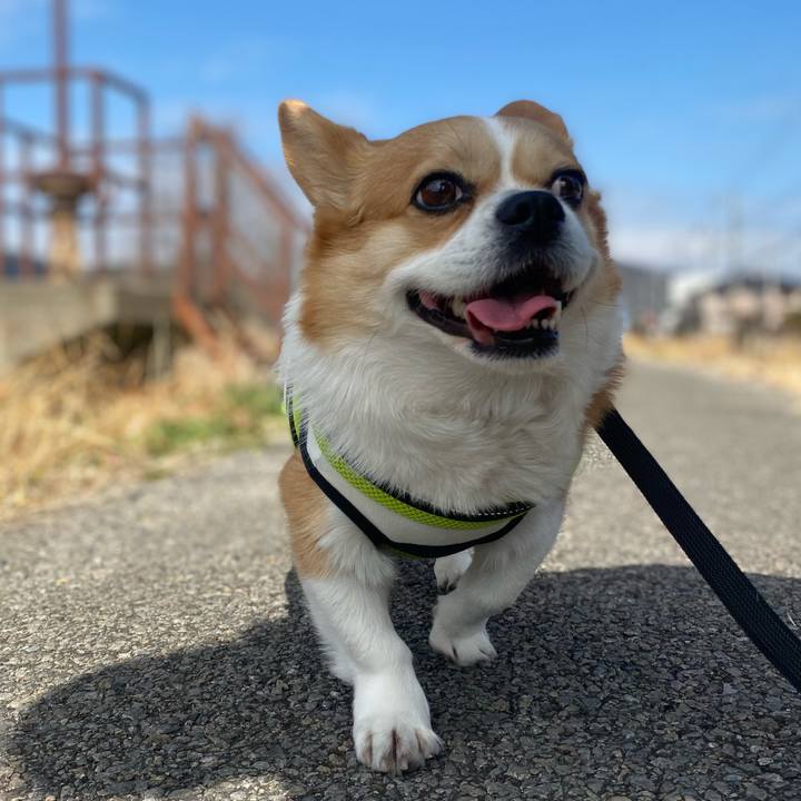 Dfed7718 c0a7 43d0 99e5 bbb5dc386d32 1740904759971