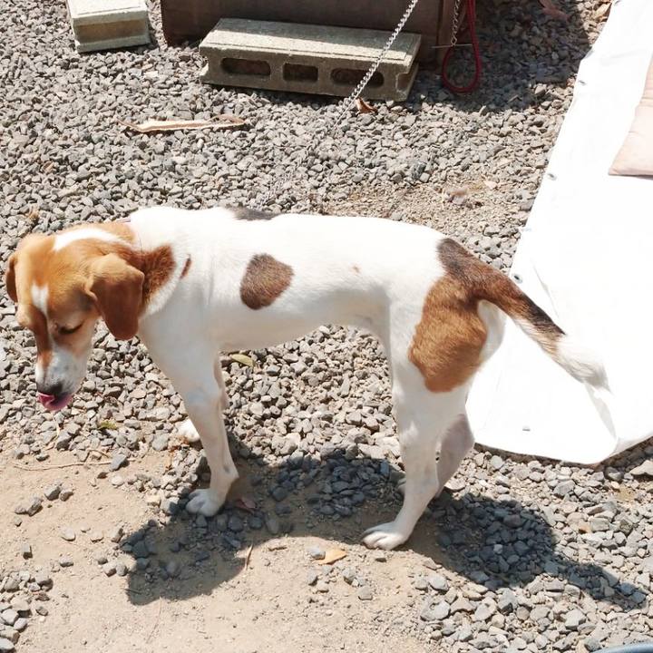 Dfedad23 de43 4edd 9897 1eb9fdf6af4b 1587974591986