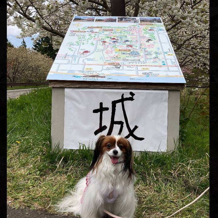 Dfee62e1 c62d 4f5c 96d8 64ef97854b4e 1682754591495