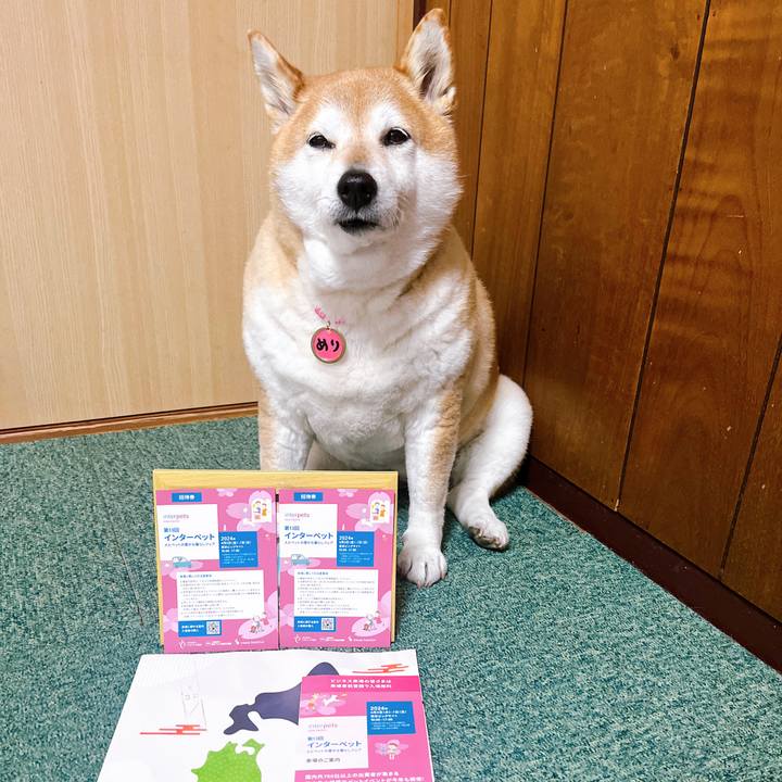 Dfee6d71 4b2b 46f0 a2ed 0eb7928e32eb 1711348264165