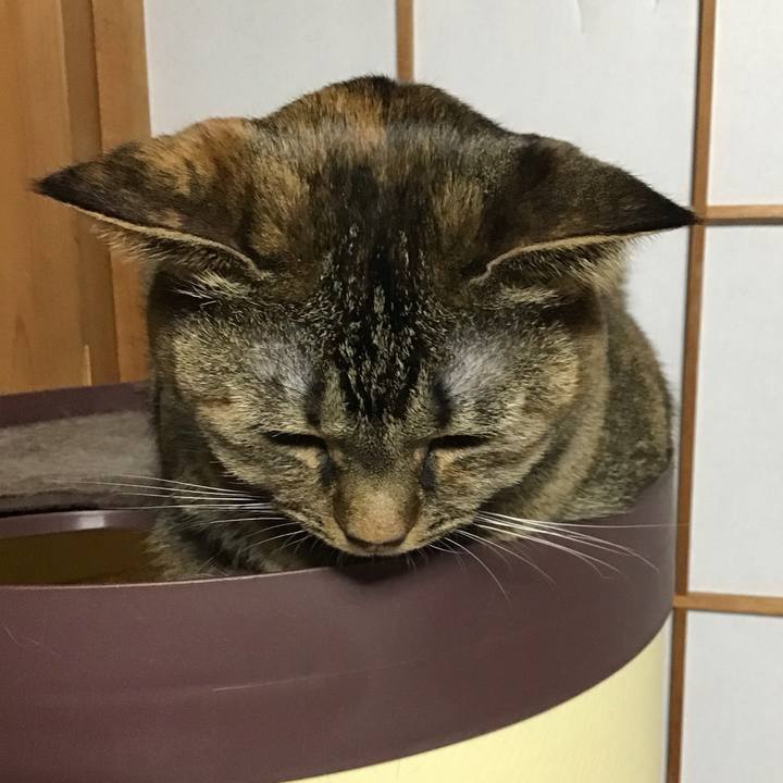 Dfee7597 900e 4383 9bd7 de335caeb1db 1736419182525