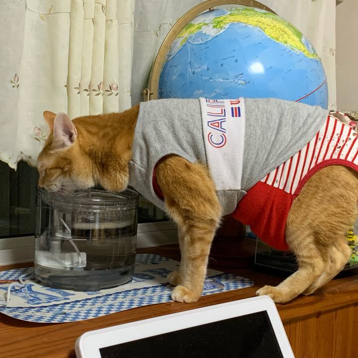 Dfee780f 4c90 4f3d 881e 9b5c5f18ea61 1603631056973