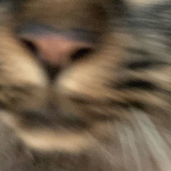 Dfee858f 0307 4714 a7e7 297b570fd837 1668815994356