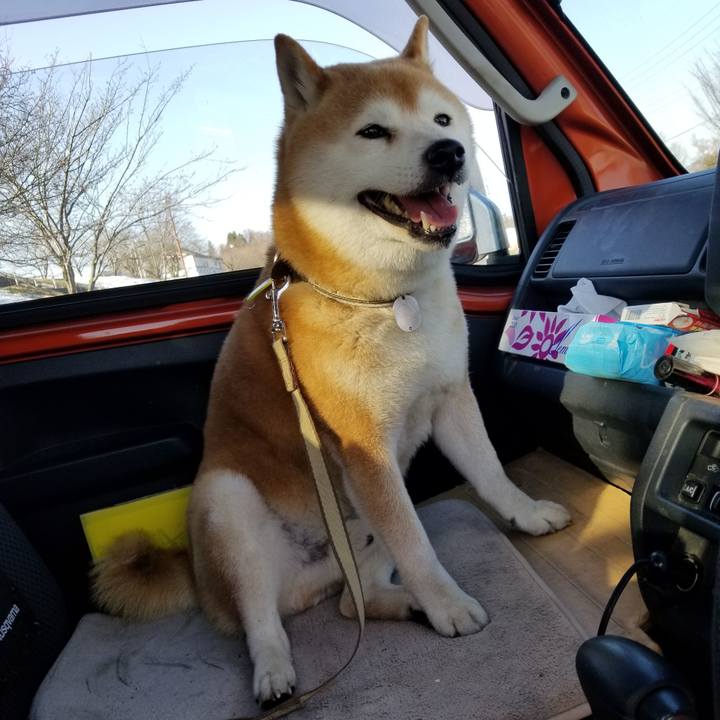 Dfee8a03 5cae 4190 bd3a fe2152aa8262 1649488439718