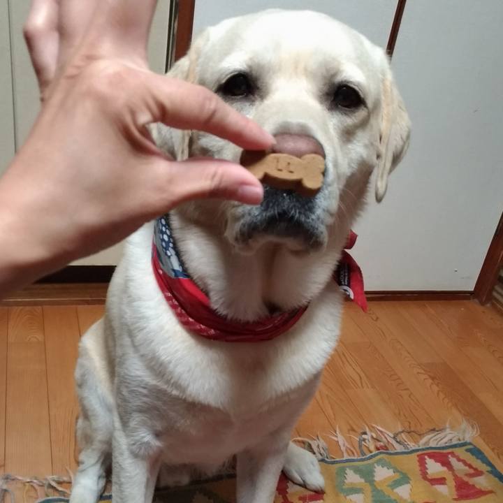 Dfeea485 4cae 4e13 9b8a 6ceac5baa68c 1598283943111