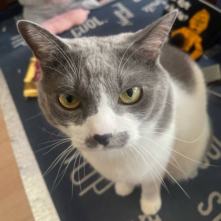 Dfeed56f 56bd 4198 aec2 916d177b18f6 1730599164194