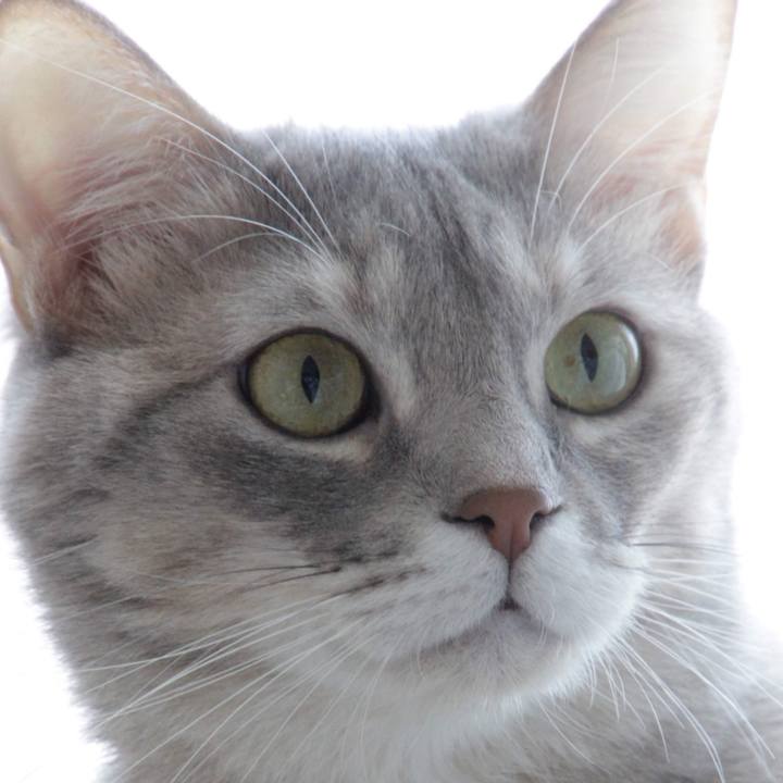 Dfef08cf 4abf 4f73 bc54 03cf3bde0b4e 1575100936053