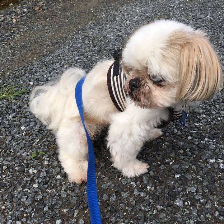 Dfef5bfd 4807 476f 943e a4dd194a5269 1625902664690