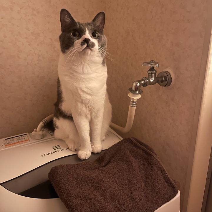 Dfef6a4e 36c4 43bb be06 d239aa86a97f 1752235320243