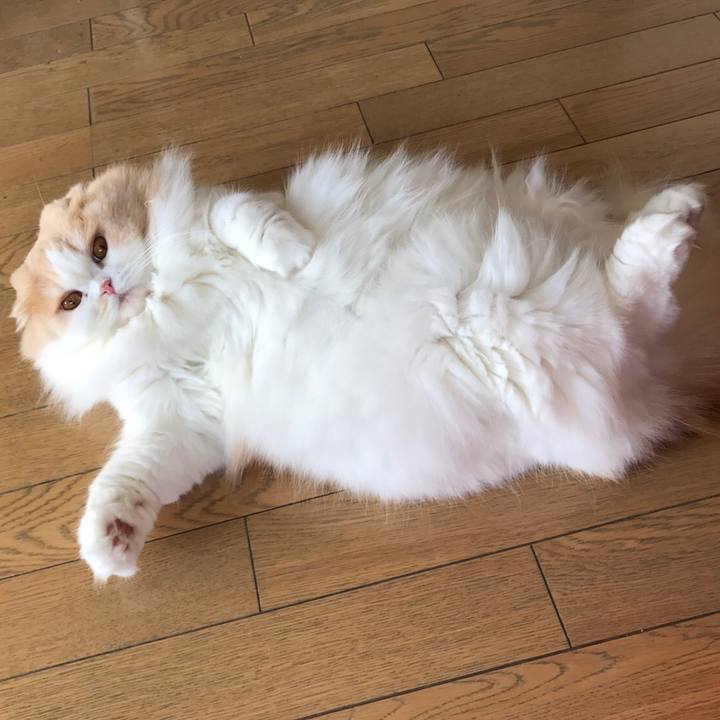 Dfef76af d98f 4bfd 926c b842103ebfb8 1541845052218