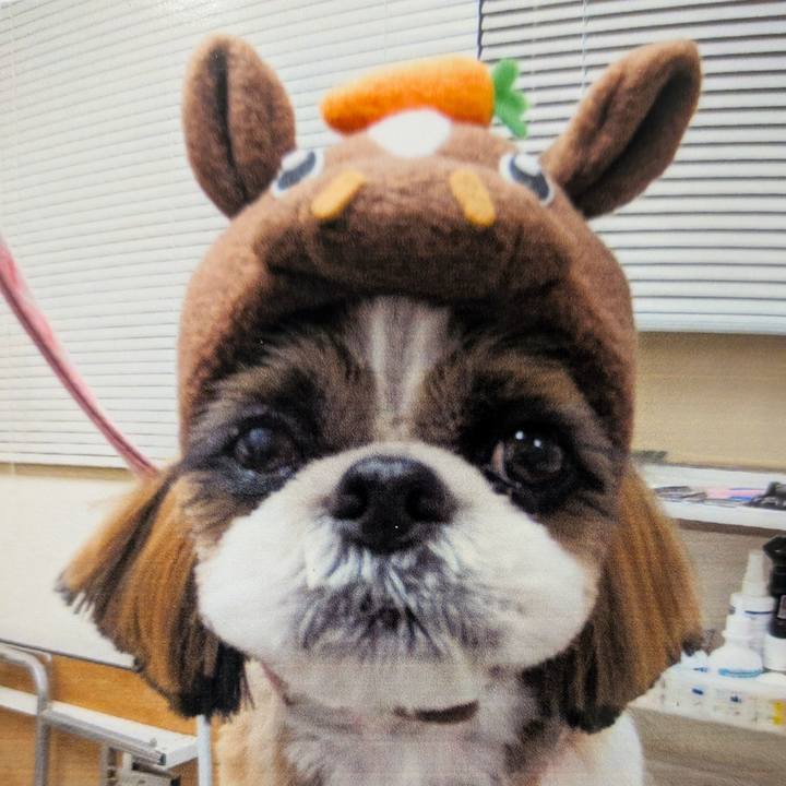 Dfeff1d6 3f66 4288 ab1e 08da34dcd96b 1767177196461