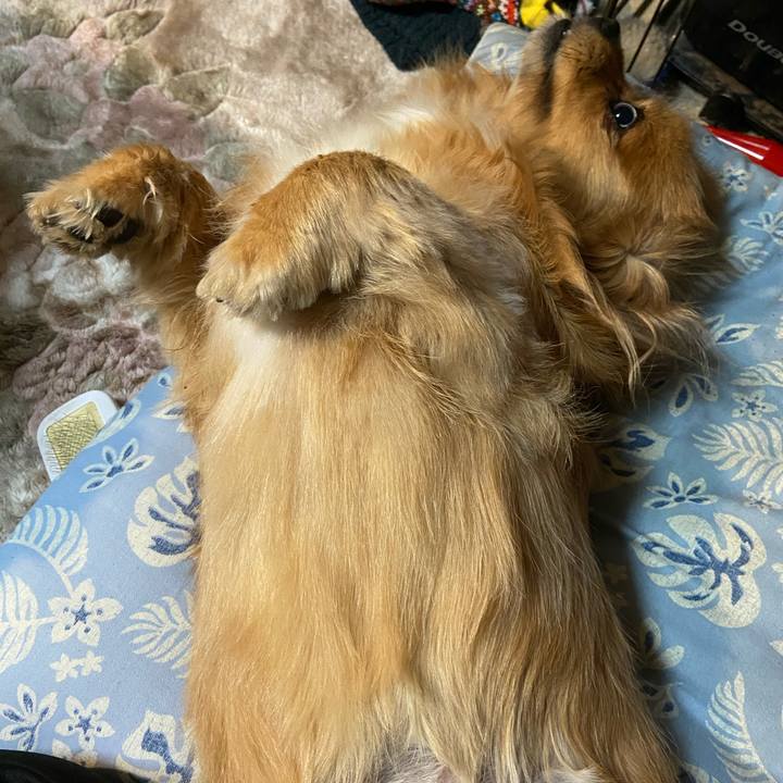 Dff00b1b 2ea9 4a84 bb3a 58af3ce56ba5 1612216163602