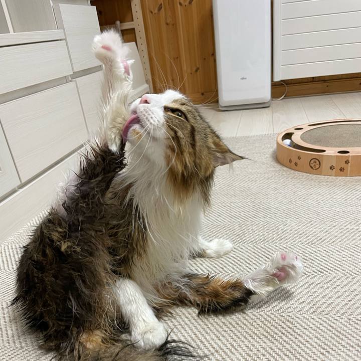 Dff00eaf 31d6 4aa4 b16c 6e15f8baebdd 1656495892758