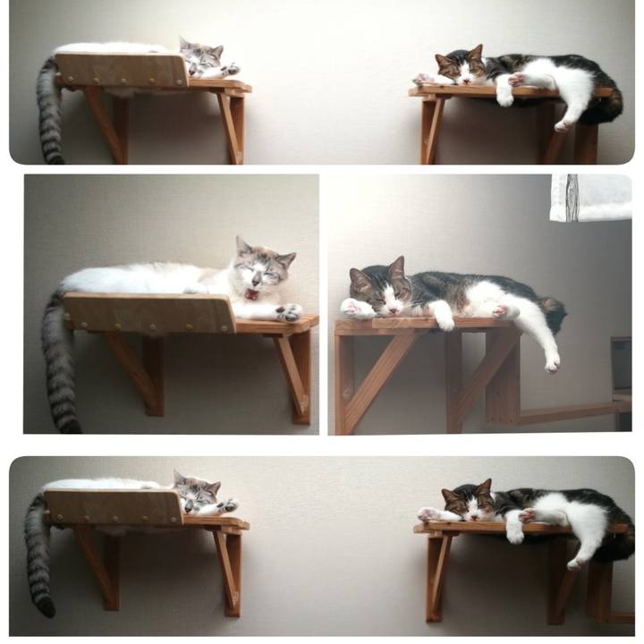 Dff02326 9046 422e 9f2a 57a0d8f219cc 1564447414392