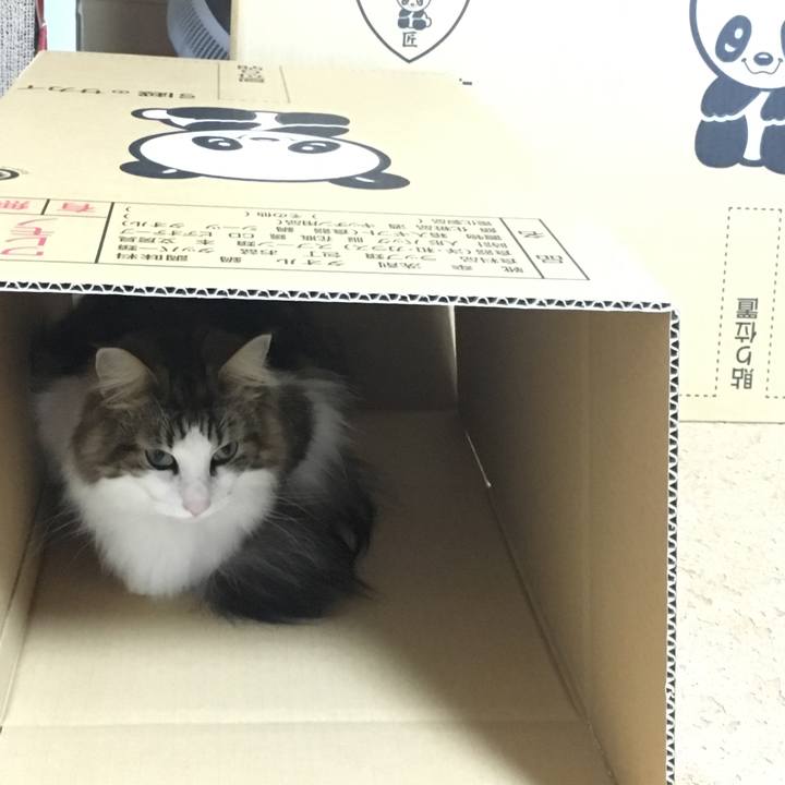 Dff0552b 0af2 4d47 8056 e17db702406e 1512649164449