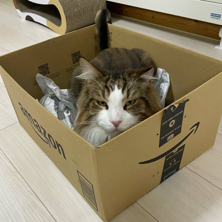 Dff09b0b 7a13 479e b8d2 2431846a0f95 1691091929936