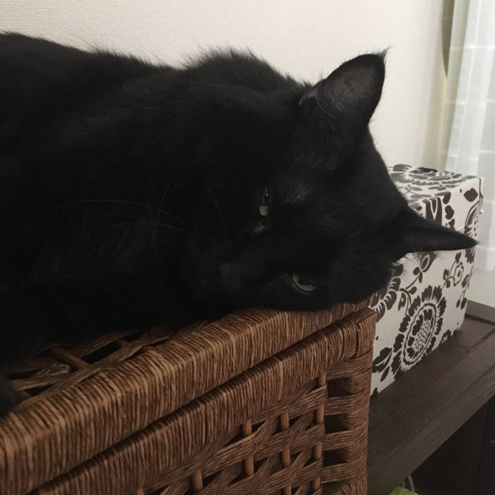 Dff09db3 115b 4aea a85c e7b5ec1c860a 1535413070352