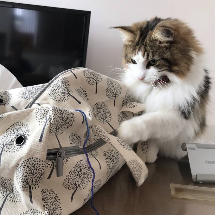 Dff0dbd1 c2db 4bf7 b04e 9ff2f84c5805 1611489372015