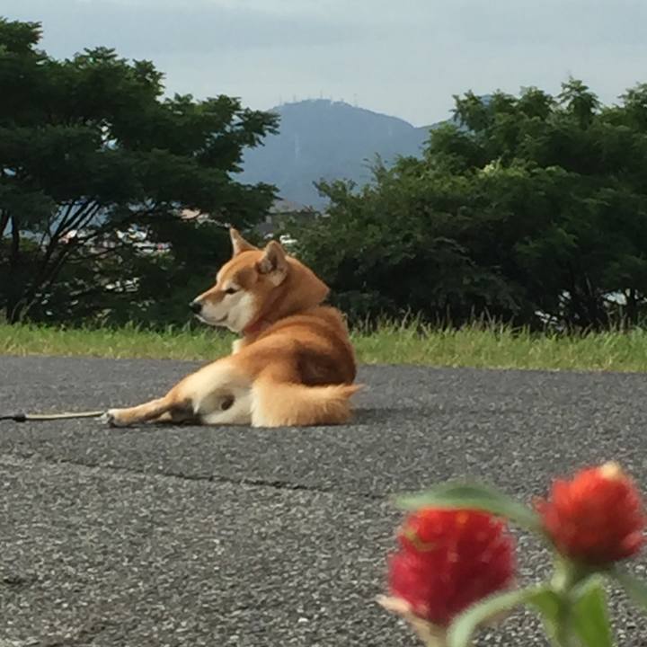 Dff0ed81 dbfe 4535 91c2 1033ebfce003 1536841626074