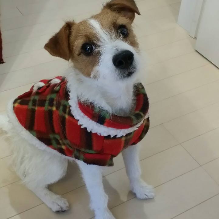 Dff0fb4a 521e 4317 a2bc 7e625f73022e 1511848557689