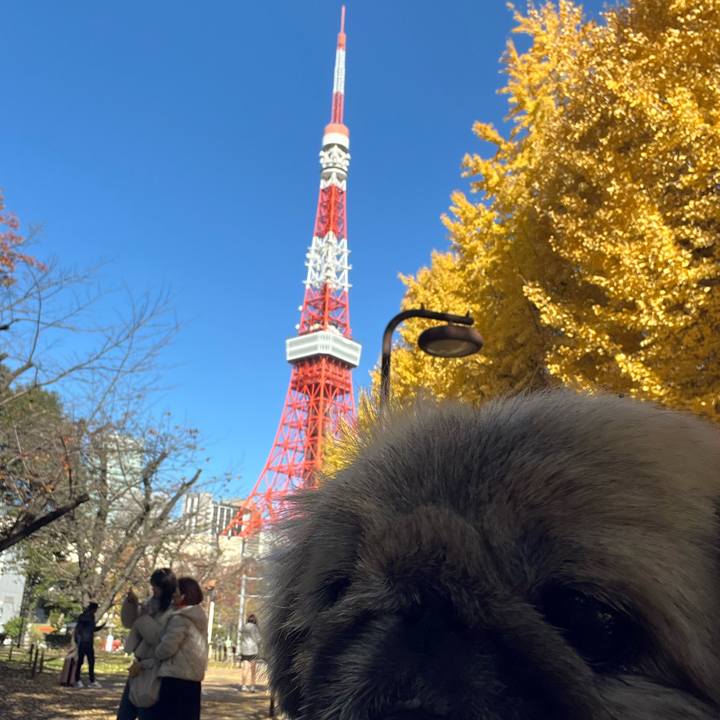 Dff110d2 086c 40bd a6ad ad1a70841755 1733534570953