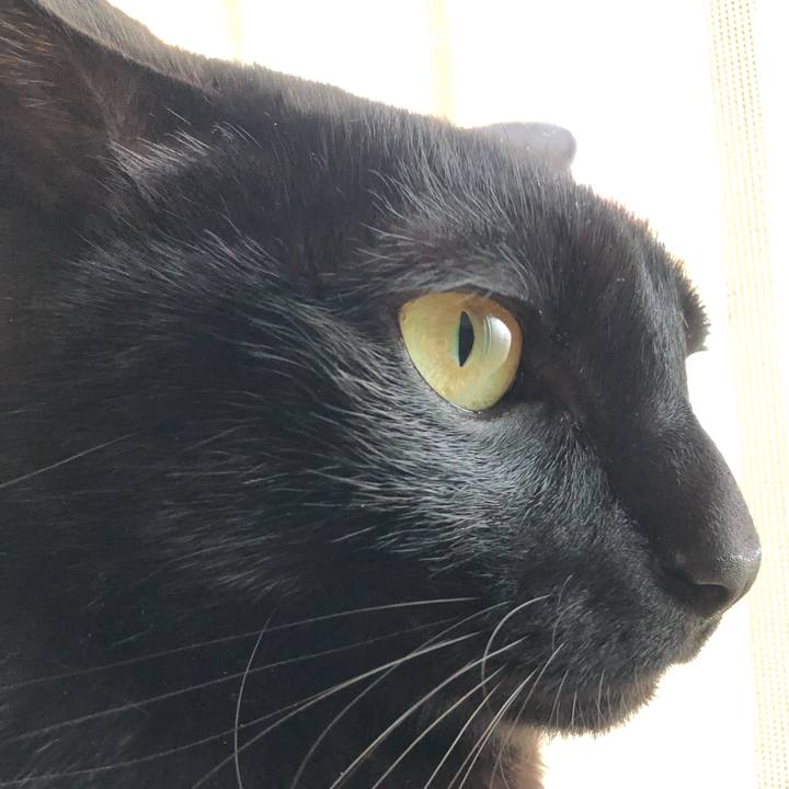 Dff139fe 3f54 4cf3 ad4a 0715f4f68217 1550814520490