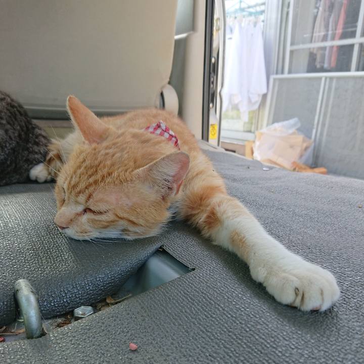 Dff14f8f dda7 4384 bd2e db620d615eec 1559203692419