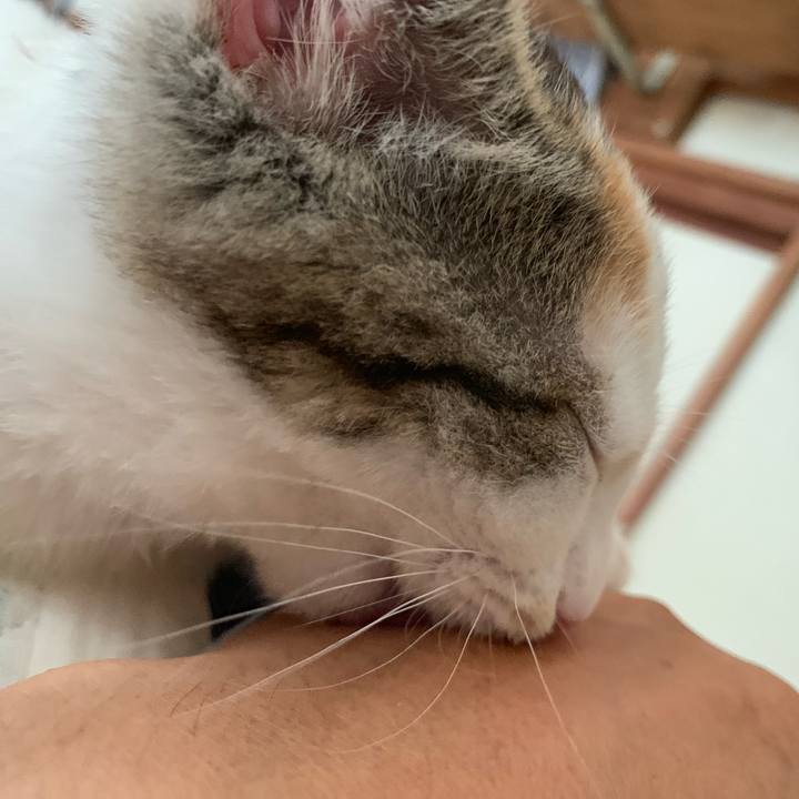 Dff1b50a 0e12 4399 837c 0d83b8ceceee 1594605547588