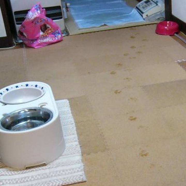 Dff1bb08 3ef1 4b32 91cb 9131a4f84a54 1684802920965