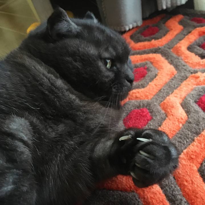 Dff1bec4 50ee 4d88 9818 5d922916856b 1582344370984