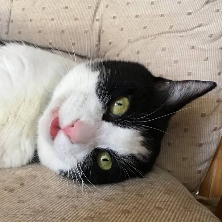 Dff1d2f3 335d 4d21 843a b5155043da51 1754470019083