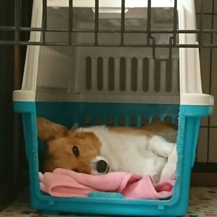 Dff1d8e6 4384 493d a4c0 42b493f9bc23 1517354635153