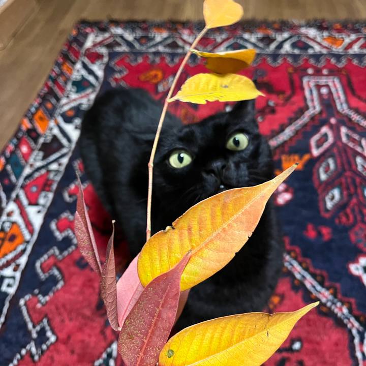 Dff1e5dc 4f74 4752 80c1 4ef3435e2d03 1701590713258