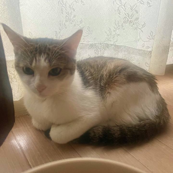 Dff21157 e3b3 4d89 bb74 f84dccc8e8d4 1632610157220