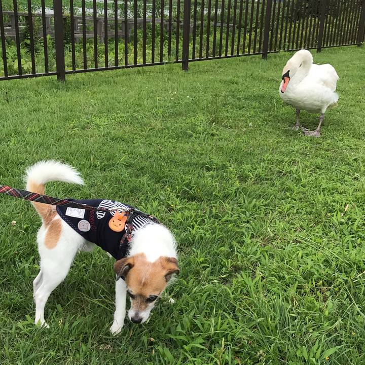 Dff23f9c 3ef0 4247 8da7 8c128feff227 1563171012534