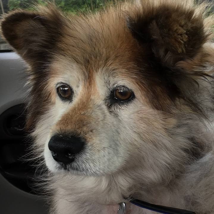 Dff23ff5 ab9a 409f adc0 e7b628c49fdd 1614878048756