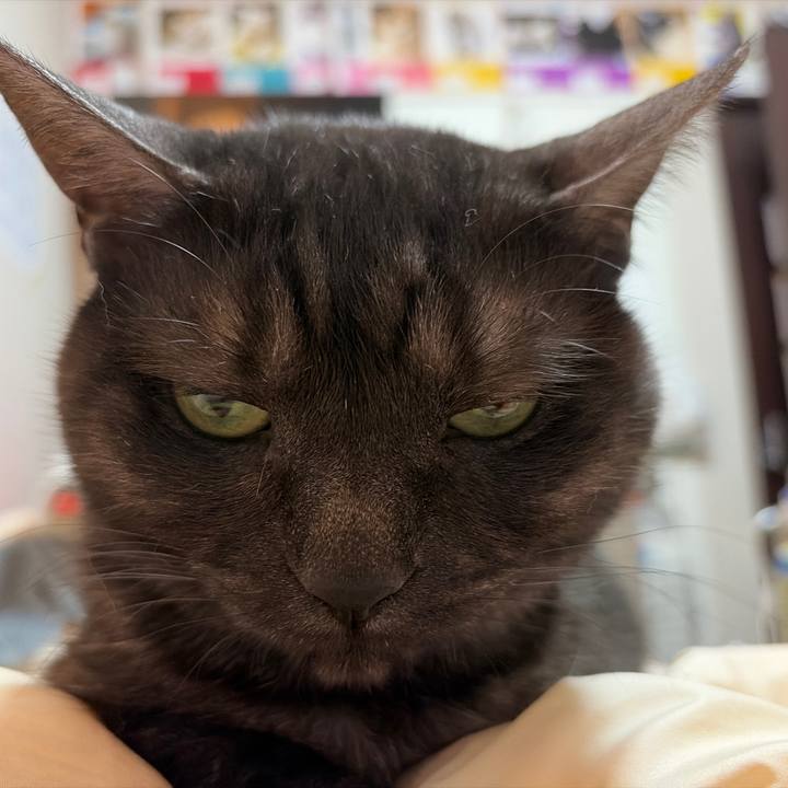 Dff24280 86a0 4fb9 8909 e6223e3ee343 1772357863069