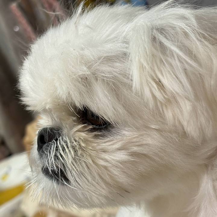 Dff27238 a64a 410e 8954 773f07dc7bfc 1728215212903