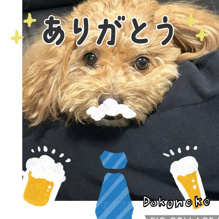 Dff29790 1360 4644 bd52 eb4a8e6db51d 1718524227693