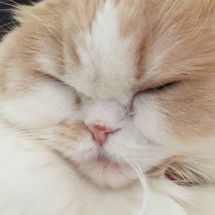 Dff2b030 853b 442e 8d6c f42993ac6bbe 1585000574848