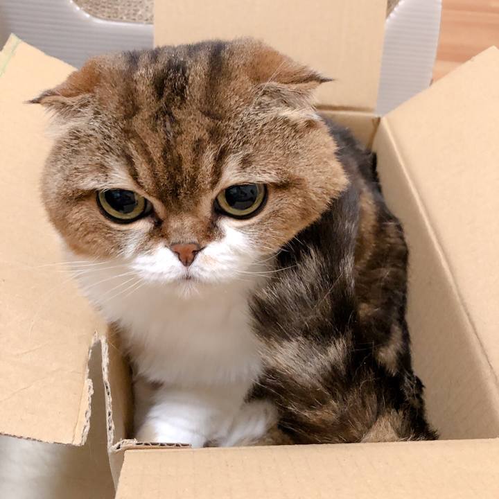 Dff2b5ce ff38 4db1 be9f 3a808fa48e6f 1601472248877