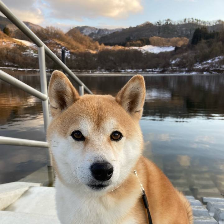 Dff2dbbf 5083 4cba a10e 8862ee680eeb 1705875175345