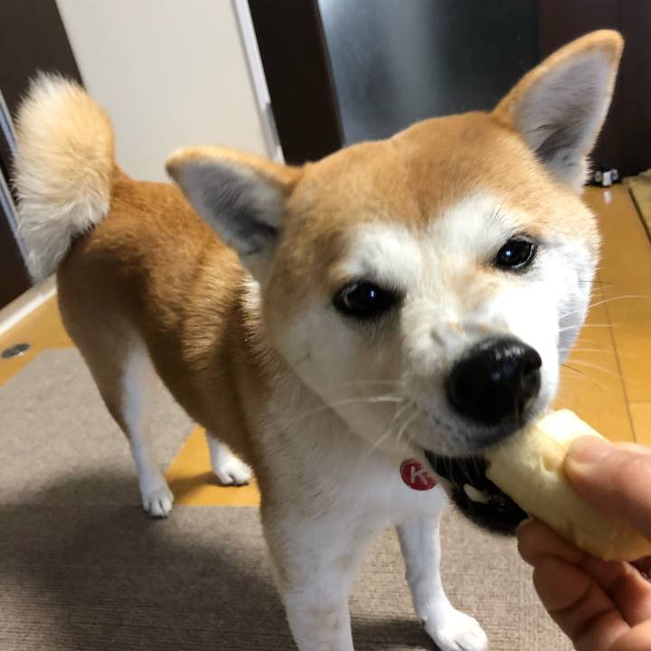 Dff33295 1a9c 4340 b8de 67dc70aae960 1550361652274