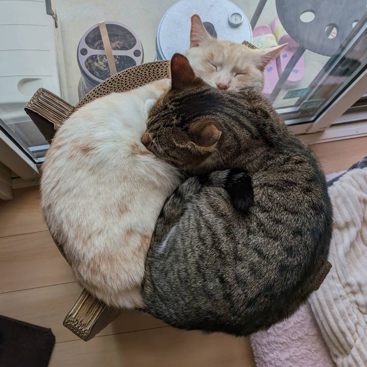 Dff3353e b127 49b8 bb21 f1683f4c209b 1685862980576